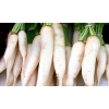 Hạt Giống Củ Cải Trắng 10gr Nhập Khẩu - Giá 15.000₫, Chất Lượng Cao 2