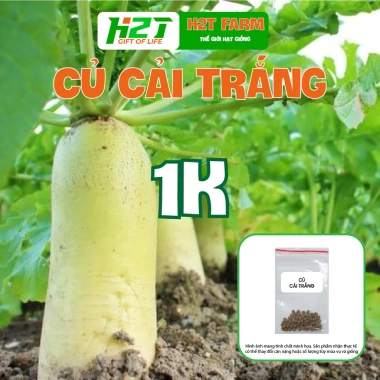 Hạt Giống Củ Cải Trắng 10gr Nhập Khẩu - Giá 15.000₫, Chất Lượng Cao