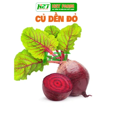 Hạt Giống Củ Dền Đỏ Ngọt Thanh - Giá Ưu Đãi 13.860 VND, Đảm Bảo Năng Suất Cao Hạt Giống Củ Dền Đỏ Ngọt Thanh - Giá Ưu Đãi 13.860 VND, Đảm Bảo Năng Suất Cao
