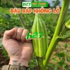 Hạt giống đậu bắp khổng lồ David - Dễ trồng, cao, ngon, chỉ 14.000₫ 6