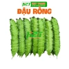 Hạt giống Đậu Rồng chất lượng cao trồng dễ, thu hoạch nhanh, giảm giá 15.000 đồng thegioihatgiong