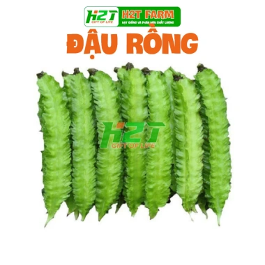 Hạt giống Đậu Rồng chất lượng cao trồng dễ, thu hoạch nhanh, giảm giá 15.000 đồng thegioihatgiong