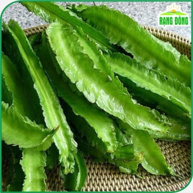 Hạt giống Đậu Rồng chất lượng cao trồng dễ, thu hoạch nhanh, giảm giá 15.000 đồng thegioihatgiong 5 Hạt giống Đậu Rồng chất lượng cao trồng dễ, thu hoạch nhanh, giảm giá 15.000 đồng thegioihatgiong 5