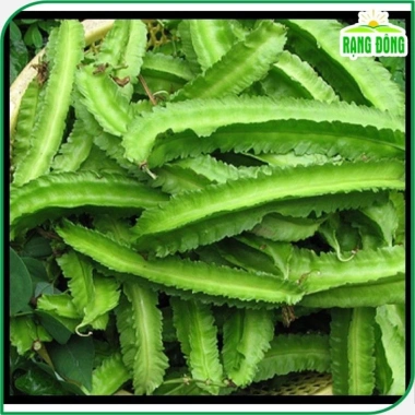 Hạt giống Đậu Rồng chất lượng cao trồng dễ, thu hoạch nhanh, giảm giá 15.000 đồng thegioihatgiong