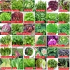 Hạt Giống Đậu Rồng Xanh Tím Nảy Mầm Nhanh, Dễ Trồng - Giá 9.888 VND Khuyến Mãi 2