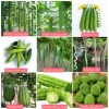 Hạt Giống Đậu Rồng Xanh Tím Nảy Mầm Nhanh, Dễ Trồng - Giá 9.888 VND Khuyến Mãi 8