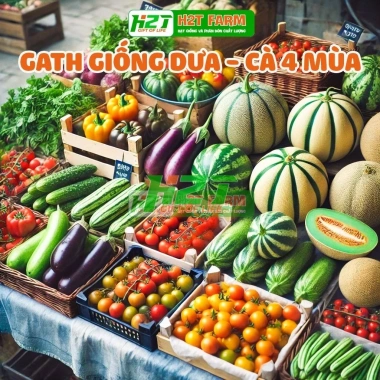 Hạt giống Dưa Cà trồng quanh năm, chịu nhiệt tốt, rau củ quả chậu - Giá 6.000đ