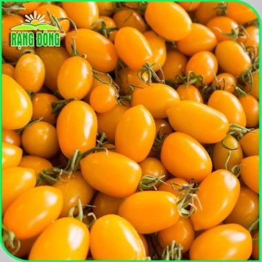 Hạt giống Dưa Cà trồng quanh năm, chịu nhiệt tốt, rau củ quả chậu - Giá 6.000đ 4