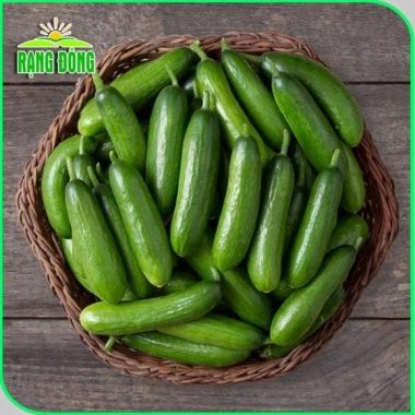 Hạt giống Dưa Cà trồng quanh năm, chịu nhiệt tốt, rau củ quả chậu - Giá 6.000đ 6