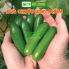 Hạt giống dưa chuột baby chùm nhập khẩu - Giá 15.000, trồng dễ dàng, năng suất cao