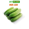 Hạt Giống Dưa Leo, Dưa Chuột Nhật, Dưa Leo Chùm - 12.000đ, Năng suất cao, Dễ trồng 6