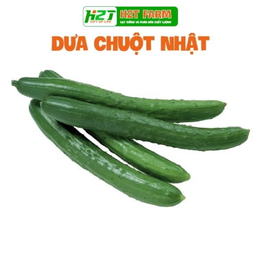 Hạt Giống Dưa Leo, Dưa Chuột Nhật, Dưa Leo Chùm - 12.000đ, Năng suất cao, Dễ trồng
