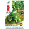 Hạt Giống Dưa Leo, Dưa Chuột Nhật, Dưa Leo Chùm - 12.000đ, Năng suất cao, Dễ trồng 9