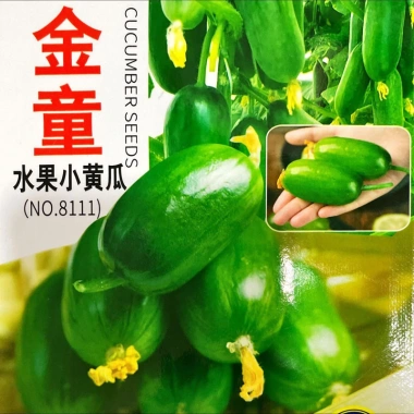 Hạt giống dưa leo Kim Đồng nhập khẩu - Giá 9.900₫, năng suất cao, trồng nhanh, ưu đãi 4 Hạt giống dưa leo Kim Đồng nhập khẩu - Giá 9.900₫, năng suất cao, trồng nhanh, ưu đãi 4