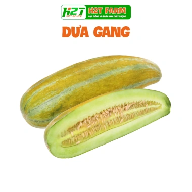 Hạt giống Dưa lưới ruột vàng F1, Dưa lê Nhật, dưa gang năng suất cao, giá 8.585 VND 8 Hạt giống Dưa lưới ruột vàng F1, Dưa lê Nhật, dưa gang năng suất cao, giá 8.585 VND 8