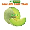 Hạt giống Dưa Lưới Ruột Xanh trồng quanh năm – Dễ chăm sóc, trái to, thơm ngọt, chỉ 14.400₫
