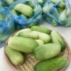 Hạt Giống Dưa Mèo Quả Siêu To 100-120 hạt - Giá 20.000 VND, giảm 20% cho vụ bội 2