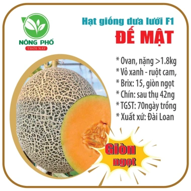 Hạt giống F1 dưa lưới Đế Mật chuẩn – ruột cam dày, giòn ngọt, gói tách lẻ 63.920₫