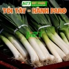 Hạt giống Hành Boaro 1gr – Tỏi tây, Hành Baro, Giá chỉ 14.000đ | Hạt Giống