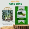 Hạt giống Hành Boaro 1gr – Tỏi tây, Hành Baro, Giá chỉ 14.000đ | Hạt Giống 2