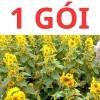 Hạt giống hoa hướng dương tháp 30 hạt - tặng kèm phân, giá ưu đãi 9.600₫ 10