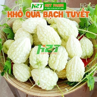 Hạt Giống Khổ Qua Bạch Tuyết Siêu Qủa 10 hạt – Dễ trồng, năng suất cao, giá chỉ 19.200₫