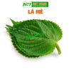 Hạt giống lá mè ăn thịt nướng – Giá chỉ 15.000đ, giảm từ 19.050đ, năng suất cao, chất lượng tốt
