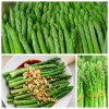Hạt giống măng tây xanh dễ trồng - Giá ưu đãi 14.000đ, chất lượng cao từ thegioihatgiong 4