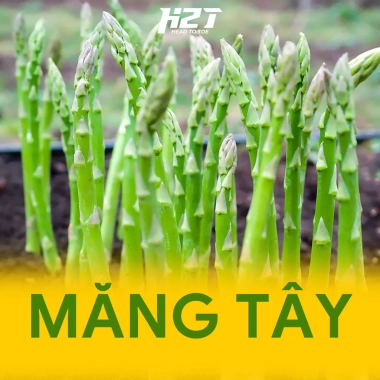 Hạt giống măng tây xanh dễ trồng - Giá ưu đãi 14.000đ, chất lượng cao từ thegioihatgiong