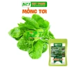 Hạt Giống Mồng Tơi Cao Sản 10g - Năng suất cao, giá ưu đãi 14,695 VND thegioihatgiong 2
