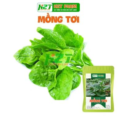 Hạt Giống Mồng Tơi Cao Sản 10g - Năng suất cao, giá ưu đãi 14,695 VND thegioihatgiong