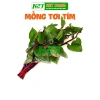 Hạt giống mồng tơi đỏ 5gr (tím) - Giá chỉ 14.000đ, giảm giá siêu hot tại Thegioihatgiong 2