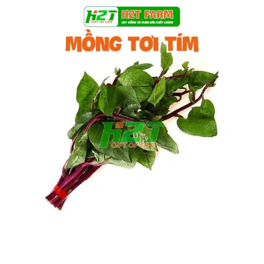 Hạt giống mồng tơi đỏ 5gr (tím) - Giá chỉ 14.000đ, giảm giá siêu hot tại Thegioihatgiong 2