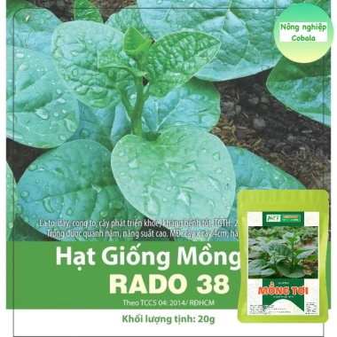 Hạt Giống Mồng Tơi Nhập Khẩu - Nhanh Tan, Năng Suất Cao, Giá 12.000đ