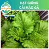 Hạt Giống Mù Tạt Xanh Khổng Lồ Cải Mào Gà NK Mỹ 50hạt Nảy Mầm 90% Chỉ 9.600₫