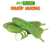 Hạt Giống Mướp Hương F1 1gr Dễ Trồng, Thơm Ngọt - Giá 15.000 VND | thegioihatgiong
