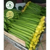 Hạt giống mướp hương siêu quả - Giá 15.000đ, năng suất cao, trồng nhanh 4