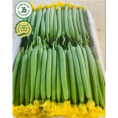 Hạt giống mướp hương siêu quả - Giá 15.000đ, năng suất cao, trồng nhanh