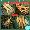 Hạt giống nhân sâm F1 chuẩn siêu năng suất – Dễ trồng, dễ chăm sóc, kháng sâu bệnh, chỉ 7.200₫ 10