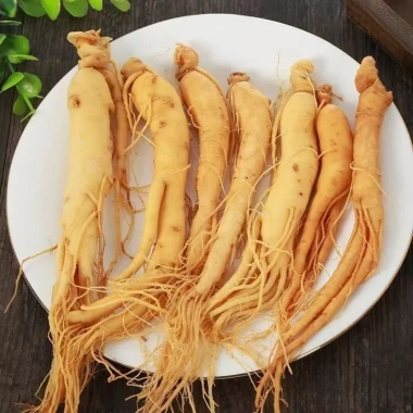 Hạt giống nhân sâm Hàn Quốc 60 hạt - Mùi thơm, giàu dinh dưỡng, 32.000₫ 8