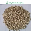 Hạt Giống Nhân Sâm Hàn Quốc Mseed - Trồng Được Năm, Năng Suất Cao, Giá Ưu Đãi 15.600 VND 5