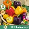 Hạt giống ớt chuông ớt ngọt ngũ sắc - Giá 30.000đ, năng suất cao, trồng nhanh