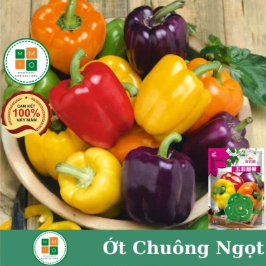 Hạt giống ớt chuông ớt ngọt ngũ sắc - Giá 30.000đ, năng suất cao, trồng nhanh