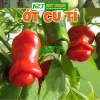 Hạt Giống Ớt Cu Tí Độc Lạ 5 Hạt - Dễ Trồng, Nhiều Trái, Ăn Ngon, Giá 25.000 VND NIN SEEDS x H2T FARM