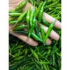 Hạt Giống Ớt Hiểm Xanh, Chỉ Thiên, Sừng Vàng - Giá chỉ 12.000đ, Năng Suất Cao 2