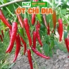 Hạt Giống Ớt Hiểm Xanh, Chỉ Thiên, Sừng Vàng - Giá chỉ 12.000đ, Năng Suất Cao 6