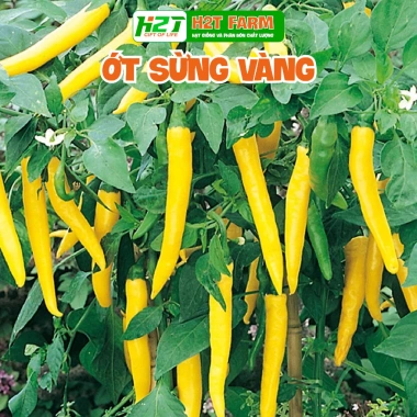 Hạt Giống Ớt Hiểm Xanh, Chỉ Thiên, Sừng Vàng - Giá chỉ 12.000đ, Năng Suất Cao 7