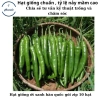 Hạt giống ớt xanh Hàn Quốc - Nhanh nở, cay đậm, giá 14.400đ giảm 20%