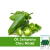 Hạt Giống Ớt Xanh Jalapeno Mexico nhập khẩu - Giá 14.400 VND, trồng dễ dàng