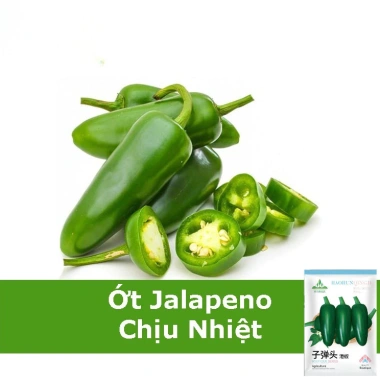 Hạt Giống Ớt Xanh Jalapeno Mexico nhập khẩu - Giá 14.400 VND, trồng dễ dàng
